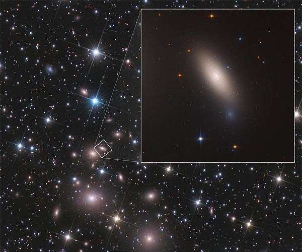 Arrested development: Hubble finds relic galaxy close to home