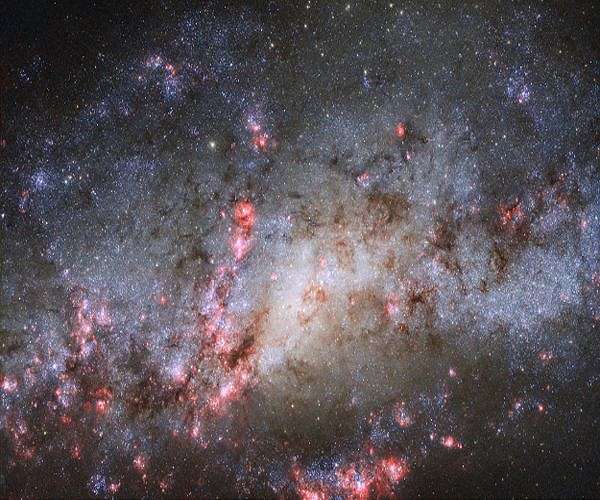 Citizen scientists developing expertise on galaxy images