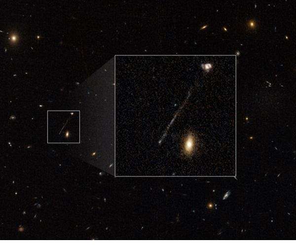 Hubble sees possible runaway black hole creating a trail of stars