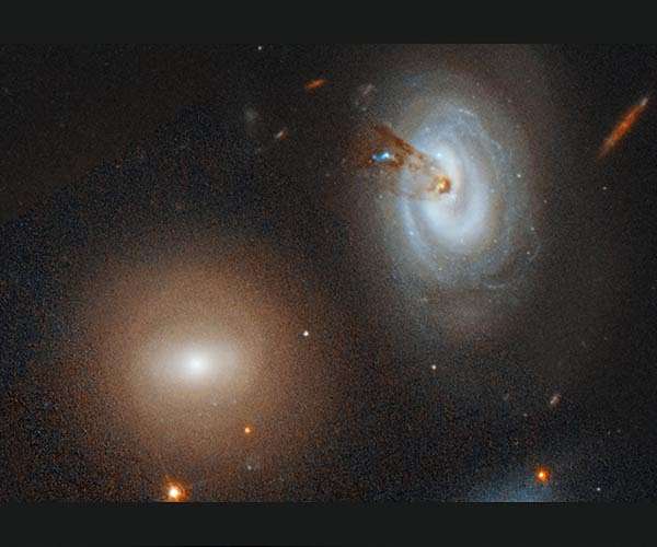 This Galaxy Is No Match for a Hungry Cluster