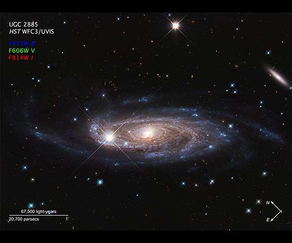 NASA's Hubble survey's gigantic galaxy