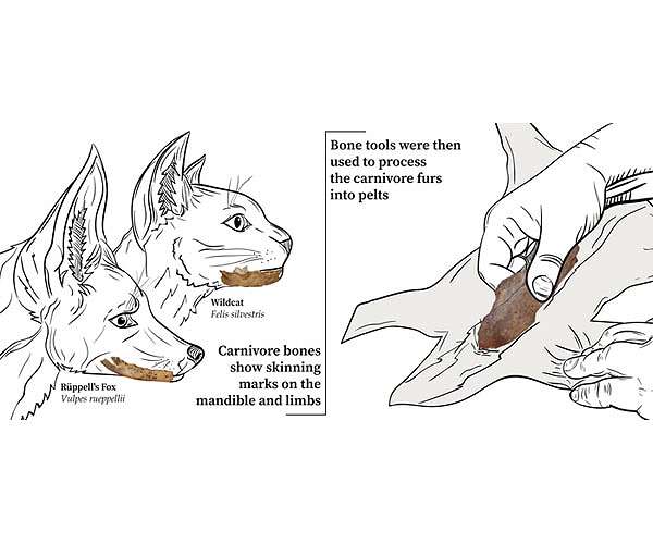 Study suggests earliest use of bone tools to produce clothing in Morocco 120,000 years ago