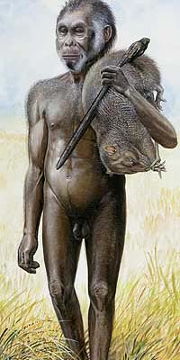 New Human Species Found On Indonesian island of Flores