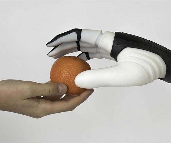 Brain enlightens the origin of human hand's skill