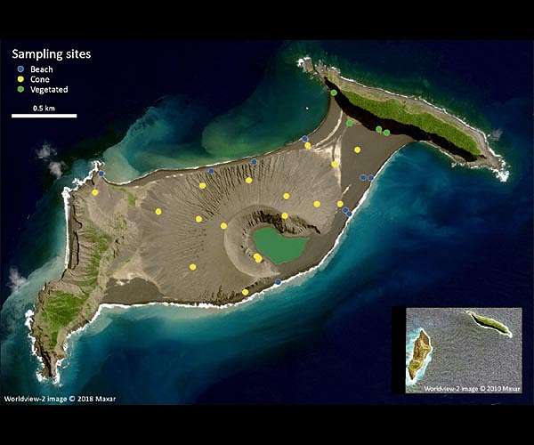 Rare opportunity to study short-lived volcanic island reveals sulfur-metabolizing microbes