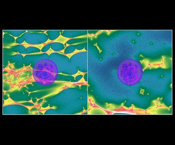 Scientists observe year-long plateaus in decline of type Ia supernova light curves