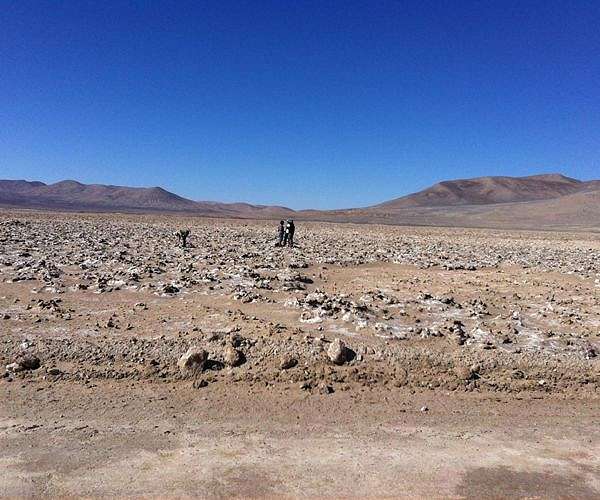 Life on the rocks helps scientists understand how to survive in extreme environments