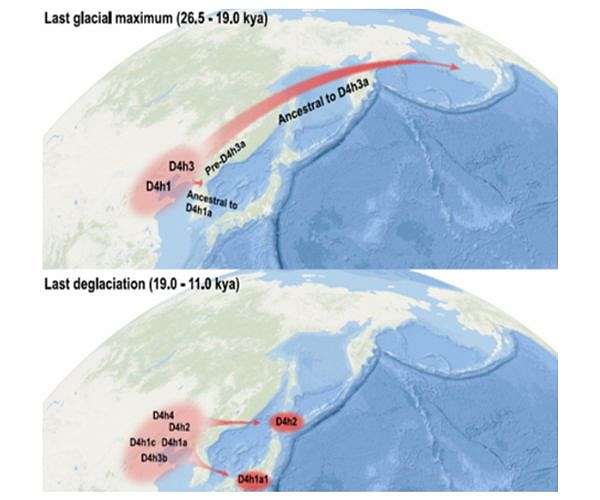 Evidence of Ice Age human migrations from China to the Americas and Japan