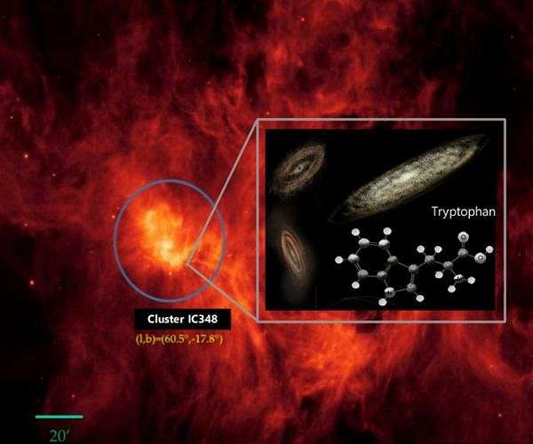 Evidence of the amino acid tryptophan found in space