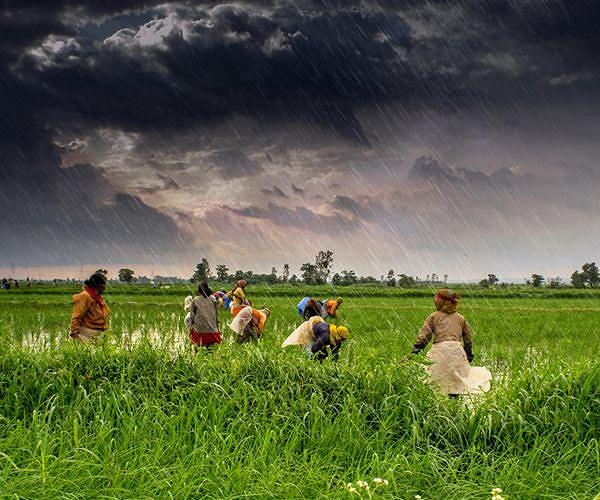 Late persistence of human ancestors at the margins of the monsoon in India