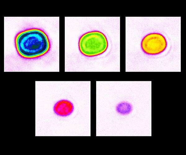 JILA researchers see signs of interactive form of quantum matter