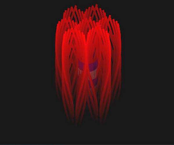 Revealing the remarkable nanostructure of human bone