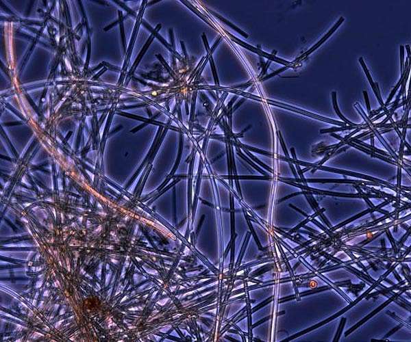 Remodeled antibiotic molecules used to battle drug-resistant bacteria