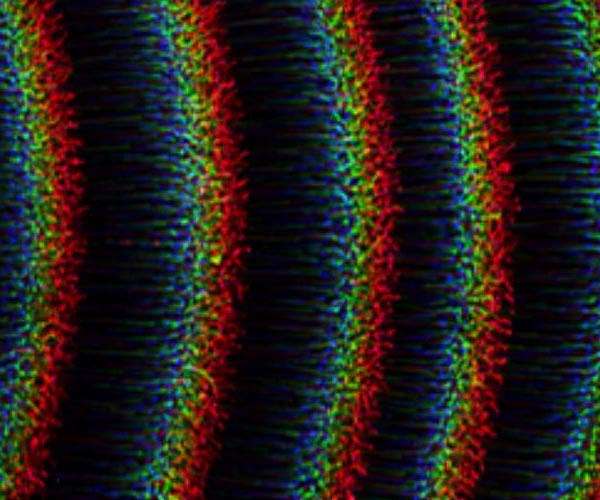 Scientists achieve first ever acceleration of electrons in plasma waves