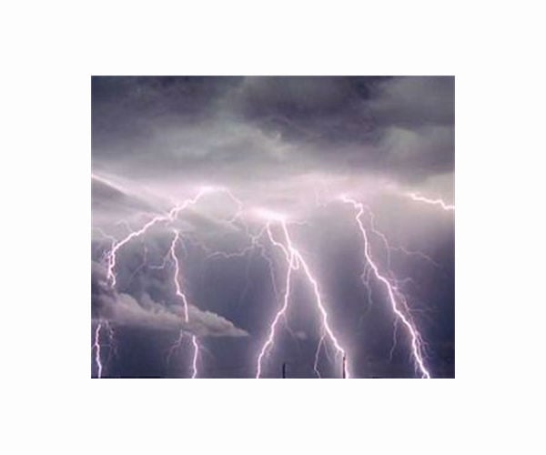 Lightning's electromagnetic fields may have protective properties