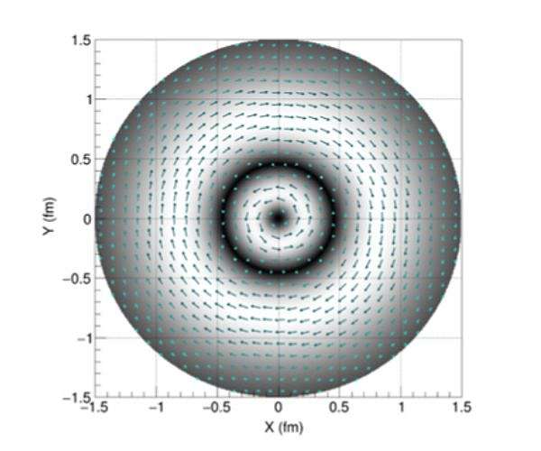 Gravity helps show strong force strength in the proton