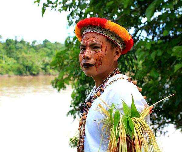 Amazon Indigenous lands prevent disease, save billions: study