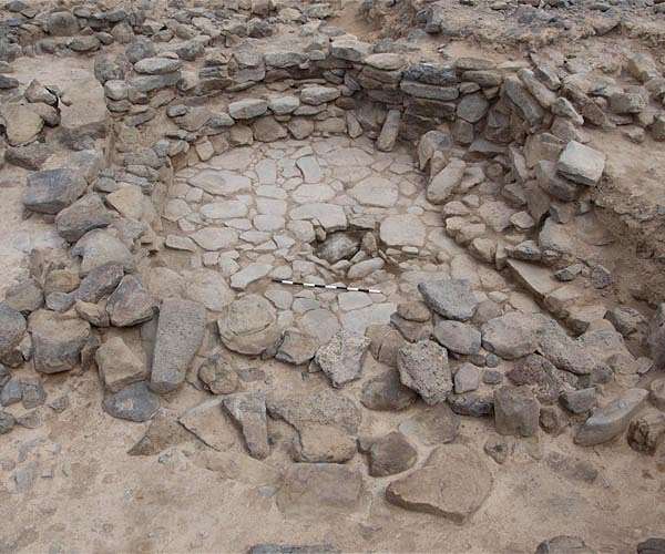 Animal bones in Jordan suggest early dogs helped humans hunt