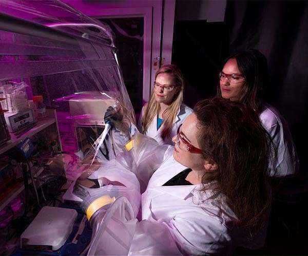 Removing traces of life in lab helps NASA scientists study its origins