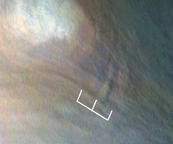 NASA's Juno Mission Detects Jupiter Wave Trains