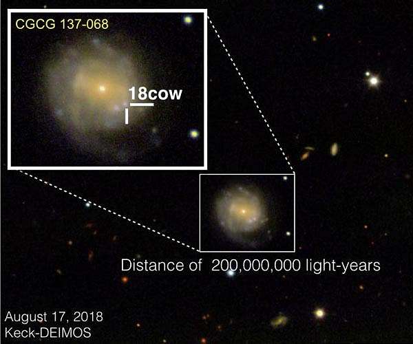 Birth of a black hole or neutron star captured for the first time