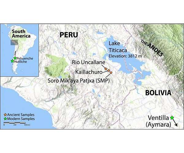 History of early settlement and survival in Andean highlands revealed by ancient genomes