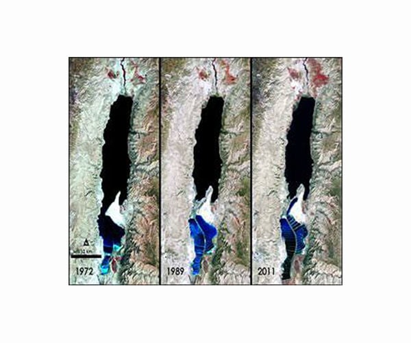 Necrophagy: A means of survival in the Dead Sea