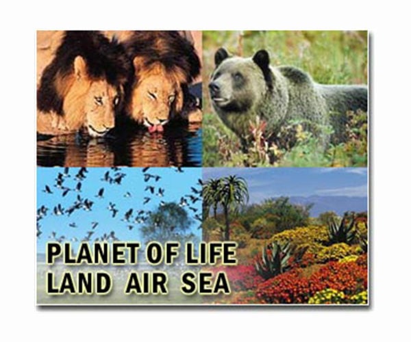 Climate Change Accelerates Species Shuffling, New Study Reveals