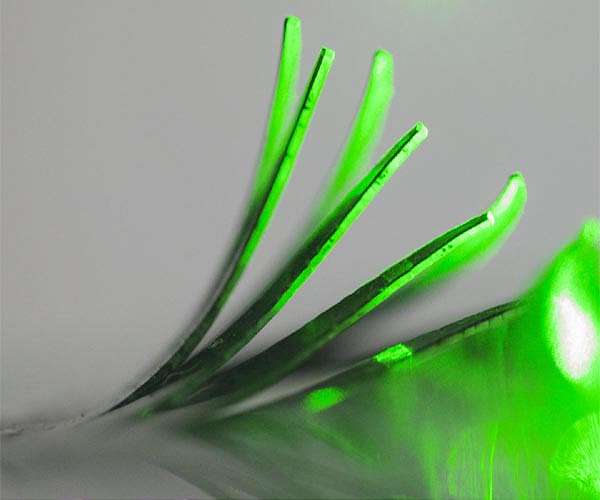 Scientists develop new materials that move in response to light