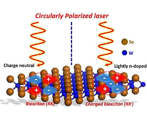 Research on light-matter interaction could improve electronic and optoelectronic devices