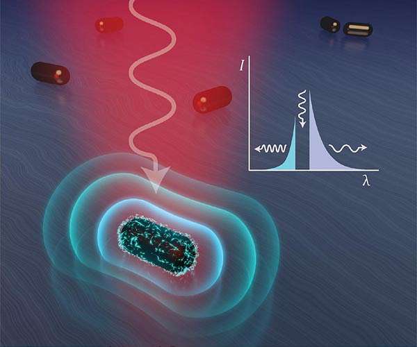 Plasmonic pioneers fire away in fight over light