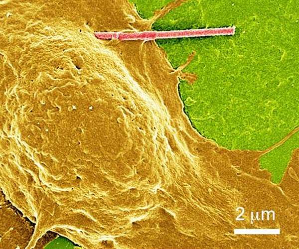 Researchers invent tiny, light-powered wires to modulate brain's electrical signals