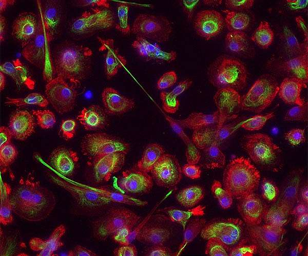 Nature inspires a novel new form of computing, using light