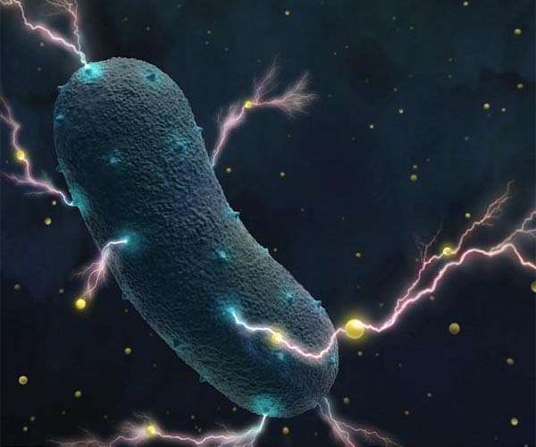 Scientists revive microbes from 100 million years ago