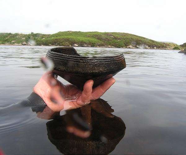 Neolithic culinary traditions uncovered