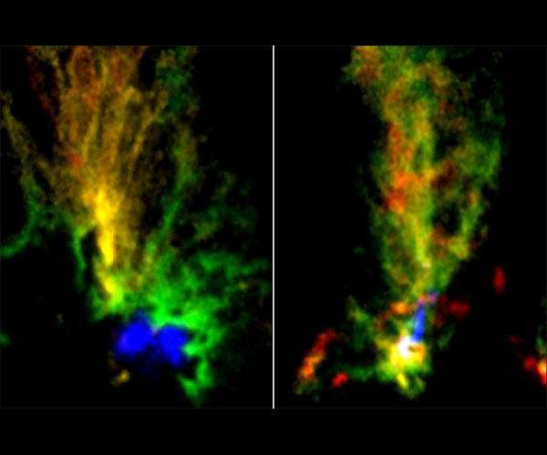 Two cosmic peacocks show violent history of Magellanic Clouds