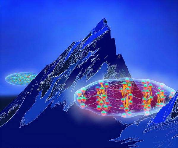 Roton quasiparticles observed in quantum gas
