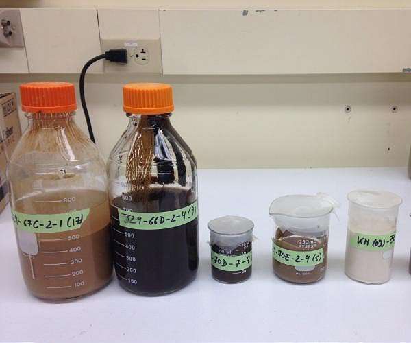 Microbes deep beneath seafloor survive on byproducts of radioactive process