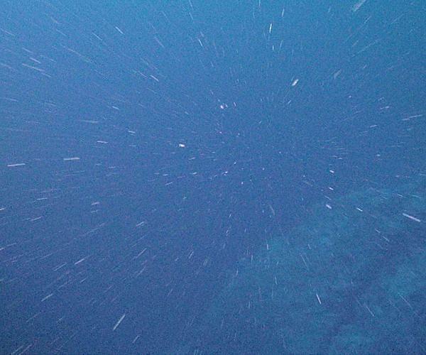 Hidden biological processes slow the ocean's carbon storage