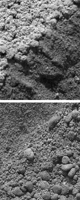 The Spirit Of Soil Science Gets Close Up To The "Serpent"