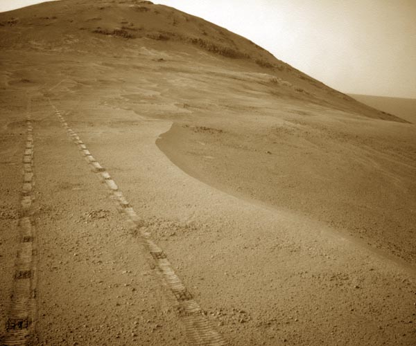Hardy organisms threaten interplanetary contamination
