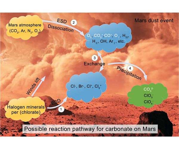 Solid-gas carbonate formation during dust events on Mars