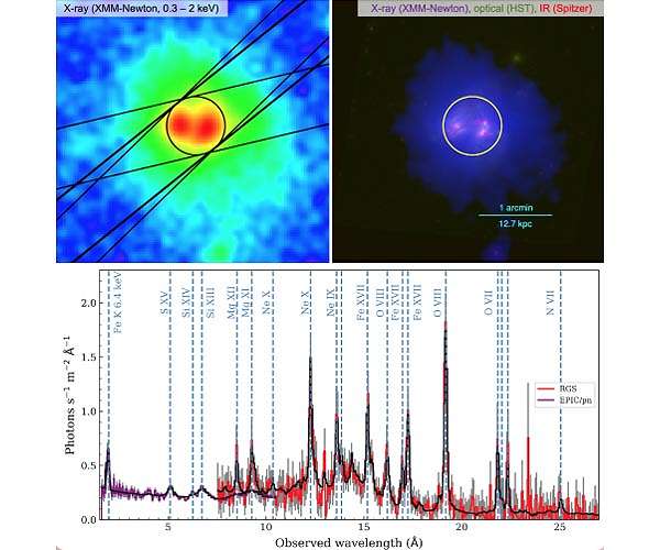 Chemical clues to the death of massive stars