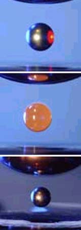 Experiments Validate 50-Year-Old Hypothesis