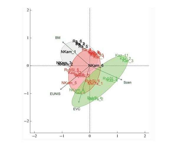 Meadow biomass contributes to understanding the potential of carbon sequestration