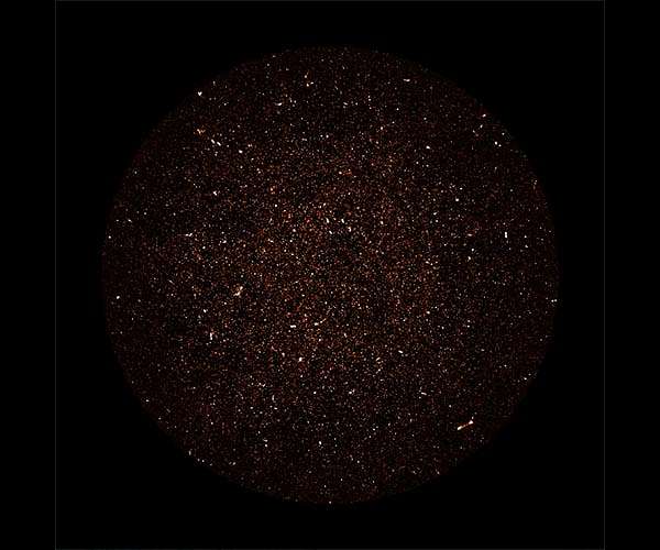 Distant Milky Way-like galaxies reveal star formation history of the universe