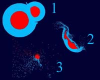 Early Mercury Impact Showered Earth
