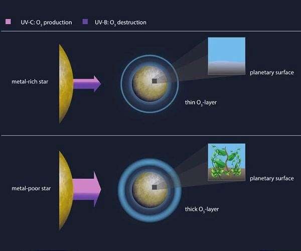 Metal-poor stars are more life-friendly