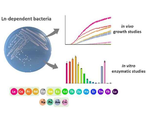 Bacteria survive on radioactive elements