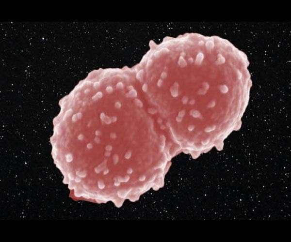 Microbial space travel on a molecular scale